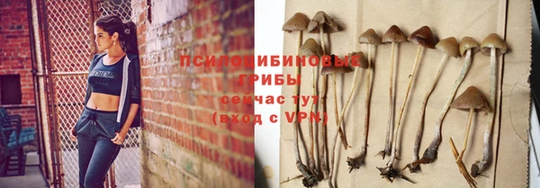 бутират Баксан
